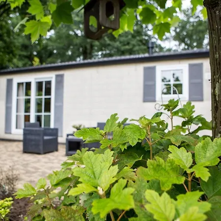 Chalet Vakantie Wageningen Dağ evi Wageningen