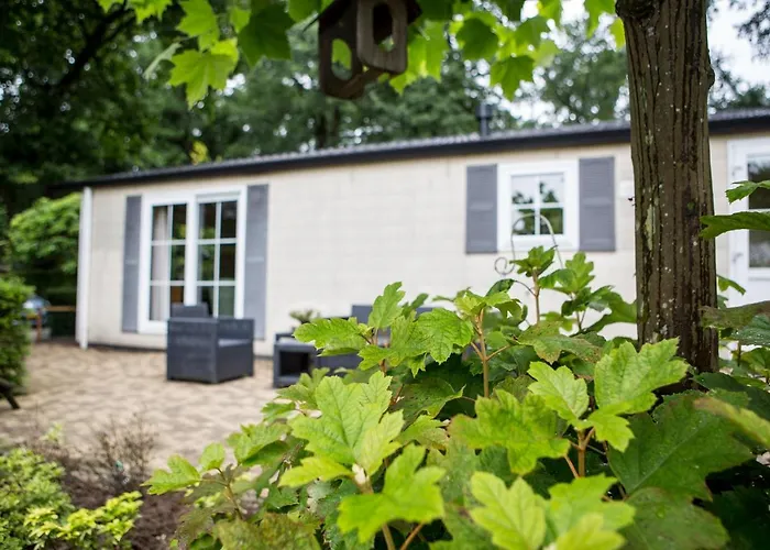 Chalet Vakantie Wageningen Alpstuga Wageningen